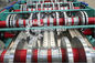 Automatische galvanisierte Rolle des Stahlblech-Cr12, die Maschine PLC-Frequenz-Steuerung bildet